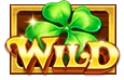 Elf Bingo Slot - Wild - Cita666