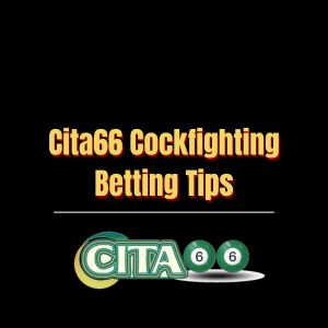 Cita66 Cockfighting Betting Tips - Logo - cita666